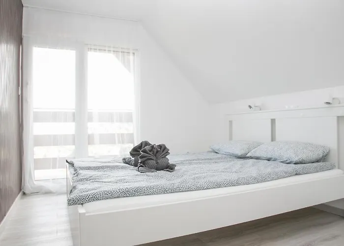 Kardos * 시글리게트