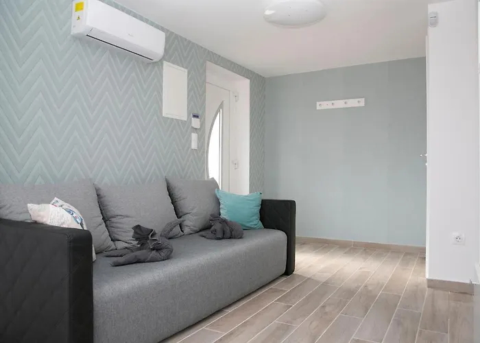 Kardos * 시글리게트