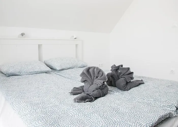 Kardos 시글리게트